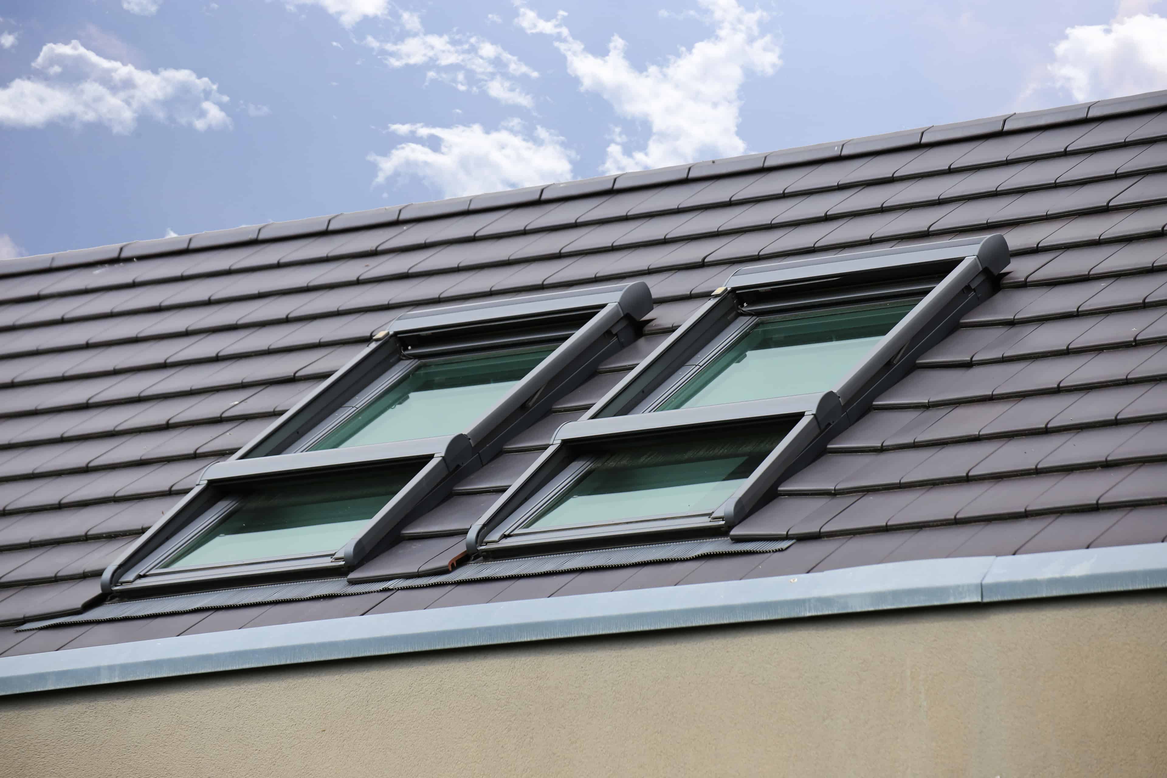 Skylight Installation & Repair image